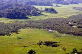 TANZANIA - Arusha National Park - 12